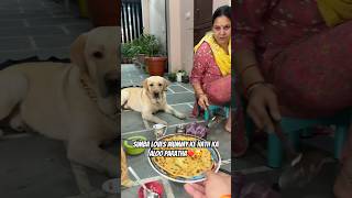 Simba bhi Khayega Aloo Paratha😍❤️ vlog doglover pets minivlog ytshorts dogshorts [upl. by Orpah]