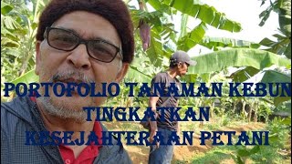 Portofolio Tanaman Kebun Tingkatkan Kesejahteraan Petani [upl. by Onitrof]