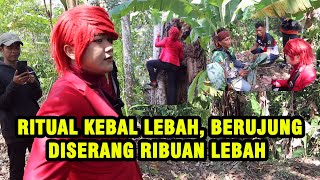 PANIK HAMPIR T3W4S ‼️ BONGKAR RITUAL KEBAL LEBAH PESULAP MERAH DISERANG RIBUAN LEBAH  ILMU MERAH [upl. by Brown784]