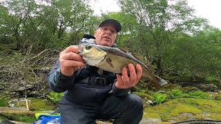 A cracking day lure fishing on a Scottish sea loch [upl. by Aciretal]