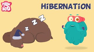 Hibernation  The Dr Binocs Show  Learn Videos For Kids [upl. by Glori]