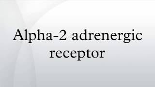 Alpha2 adrenergic receptor [upl. by Clifford]