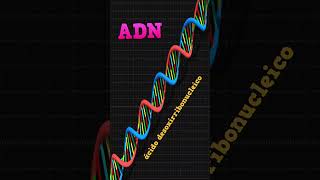 Diferencia entre ADN Y ARN parte 1 short diamundialdelmedioambiente curiosidades biologia [upl. by Sad]