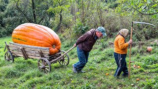 LONELY Grandma amp Son in CARPATHIAN Village  Hard Mountain Life  Ancient Traditions [upl. by Yniatirb]