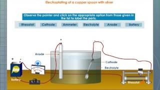 Electrolysis An Activity [upl. by Nollat]