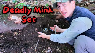 TRAPPING MINK  SIMPLE amp EFFECTIVE HOW TO [upl. by Aikyn637]