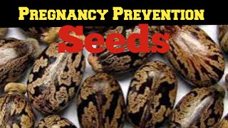 Assurance way of using Castor seed for prevention [upl. by Shalom784]