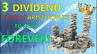 3 Dividend Stocks to Buy Now FUTURE Aristocrats [upl. by Anek]