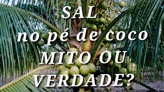 Quanto de sal devo colocar no meu pé de coco [upl. by Nosro429]