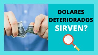 DOLARES DETERIORADOS DOLARES ROTOS sirven  Giselle Colasurdo [upl. by Erolyat]