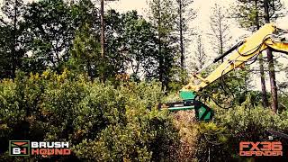 FX36 Defender Forestry Mulcher  Excavator Mulcher  Land Clearing Equipment [upl. by Takeshi]