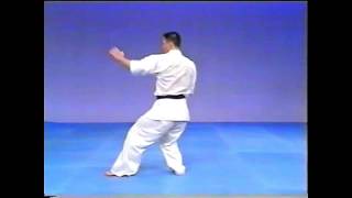 Kyokushin Karate Kata  Pinan Sono Ni [upl. by Sloan]