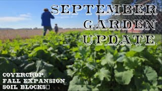 September Garden Update cover crop fall expansion soil blocks [upl. by Nahta]