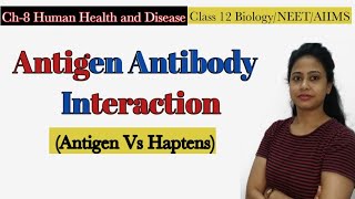 Antigen Antibody Interaction Antigen StructureAntibody Reaction Human Health amp Disease Class 12 [upl. by Anitnoc]