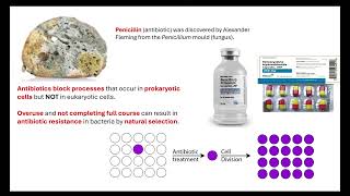 Types of immunity and sources of medicines OCR A ALevel Biology Revision [upl. by Nylynnej186]