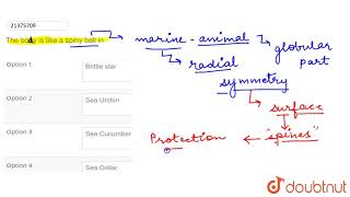 Number of ambulacral areas in Sea Cucumber is [upl. by Nohsed]