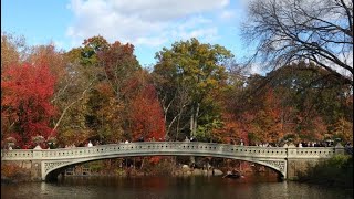 Official fall outlook tells US what weather to expect this autumn [upl. by Eryn]