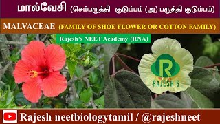 Malvaceae  Newly Added Plant families Rajesh NEET Academy RNA rajeshneet RNBT [upl. by Silvan]