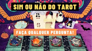 SIM OU NÃO DO TAROT  Conselho  ARIELA TAROT E ORÁCULOS [upl. by Phillip75]