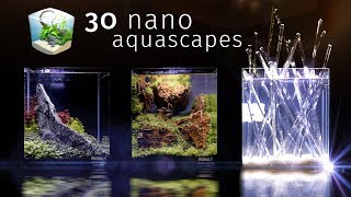 Thirty Of the Best Nano Aquascapes In America — Aquatic Experience 2017 [upl. by Sitoiyanap]