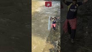 Fishing with Long Nets is Beautiful trendingshorts [upl. by Driskill]