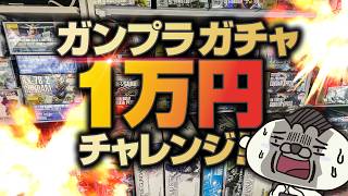 煉獄のガンプラガチャ、1万円分回してきた！まぁまぁ頑張ったと思う [upl. by Eicart]