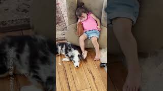 Pet pig and dog join napping toddler for a cozy cuddle  Humankind shorts goodnews [upl. by Gambrell]