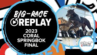 2023 Coral Springbok Final  Droopys Chaser  Greyhound Race Replays  2023 Big Finals [upl. by Nepets]