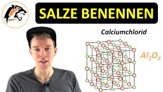 Salze benennen Nomenklatur  Chemie Tutorial [upl. by Annairdna]