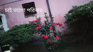 চাই ভালো পরিবার কবিতা Chai Bhalo Parivar kobita by Lipika [upl. by Miriam253]