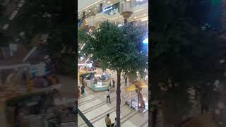 Phoenix Palassio mall Lucknow [upl. by Moise]