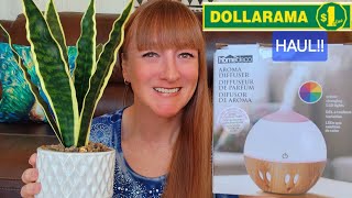 DOLLARAMA HAUL amp DOLLAR TREE GIFTS [upl. by Dyson]