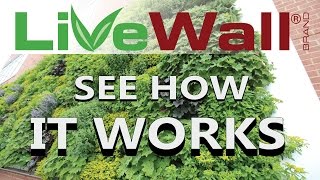 How The LiveWall Living Wall System Works [upl. by Bertle]