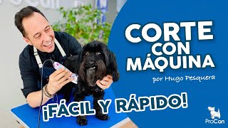 Cómo cortar el pelo a un perro con máquina 🐶✂ Consejos para peluquear o rapar  Hugo Pesquera [upl. by Winwaloe837]