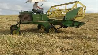 Windrowing oats with the old 800 [upl. by Percy]