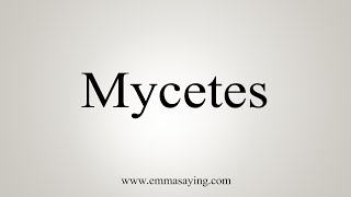 How To Say Mycetes [upl. by Lohse206]