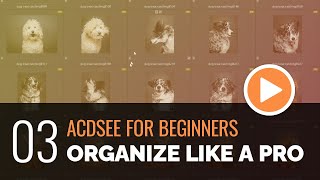 ACDSee for Beginners  03  Organize Like a Pro with Manage Mode [upl. by Yeung]