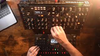 Novation peak  Elektron Octatrack MK II From ambient to electronic glitch performance [upl. by Britteny]