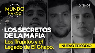 Los Secretos de la Mafia Los Trapitos y el Legado de El Chapo Los Chapitos [upl. by Perri]