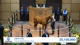 Ramatuelle sells for 5100000 at The November Sale 2024 [upl. by Nashoma]