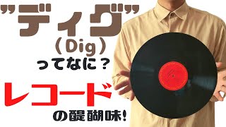 【アナログレコード】レコードディグってなに？レコードの買い方 [upl. by Ignace]