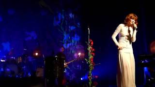 HD Florence  the Machine  Strangeness and Charm The Wiltern 11610 [upl. by Reivaxe]