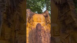 Gautam Buddha is inside the tree shorts [upl. by Ynnam]