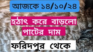 14 October 2024 রোজ সোমবার হঠাৎ করে বাড়লো পাটের দাম। ফরিদপুর থেকে। Jute price today [upl. by Dun700]