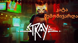 stray 3 კატა შემომივარდა [upl. by Doralin]