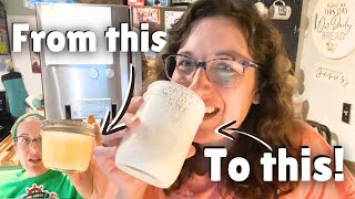 Making Kefir at Home is Easy Reviving my Kefir Grains [upl. by Aniale]