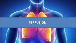 Perfusión  Fisiopatología respiratoria [upl. by Eirot]