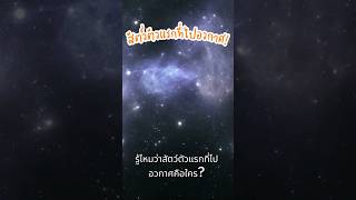 สัตว์ตัวแรกที่ได้ไปอวกาศ video viralvideo videoshorts fyp laika space explore สาระ [upl. by Anyehs]