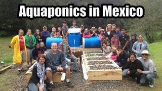 Aquaponics Build Mexico [upl. by Nev]