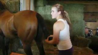 How To Wrap Your Horses Tail  With Special Guest EquitationPrincess [upl. by Oeht]